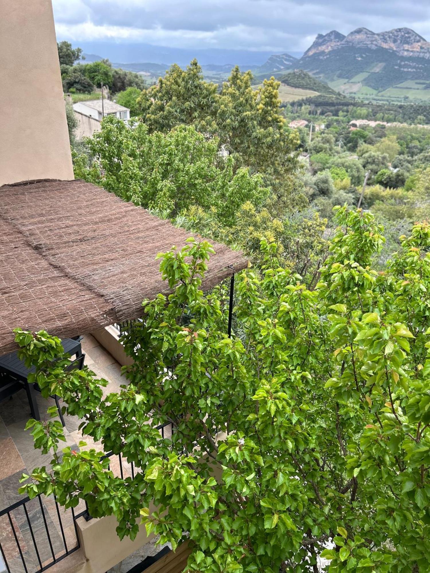 فيلا Casa San Matteu باتريمونيو المظهر الخارجي الصورة